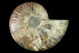 Agatized Ammonite Fossil (Half) - Madagascar #139656-1